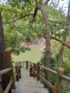Birdwatcher's Paradise