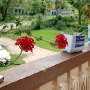 Honeymoon Resorts in Belize