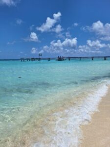 paradise
